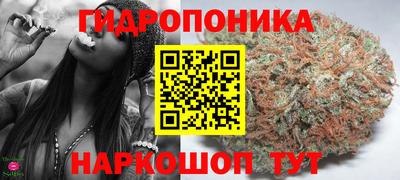 спиды Тара