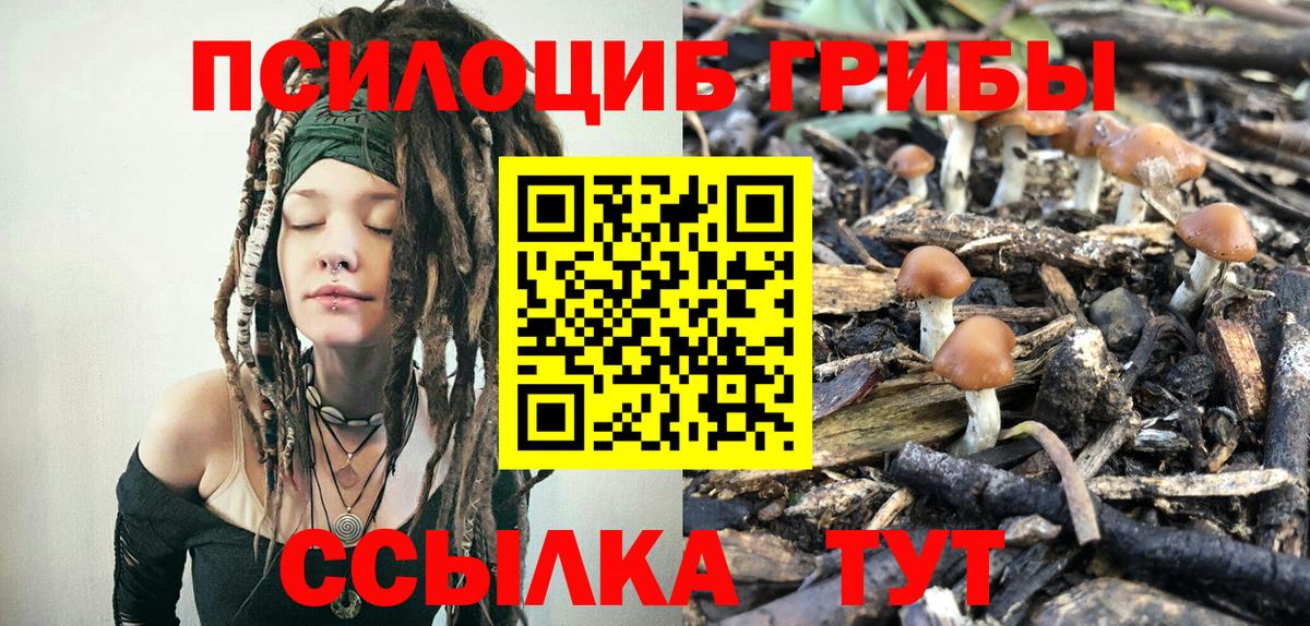 Псилоцибиновые грибы Magic Shrooms  Вход с VPN  Павловский Посад  Галлюциногенные грибы прущие грибы 